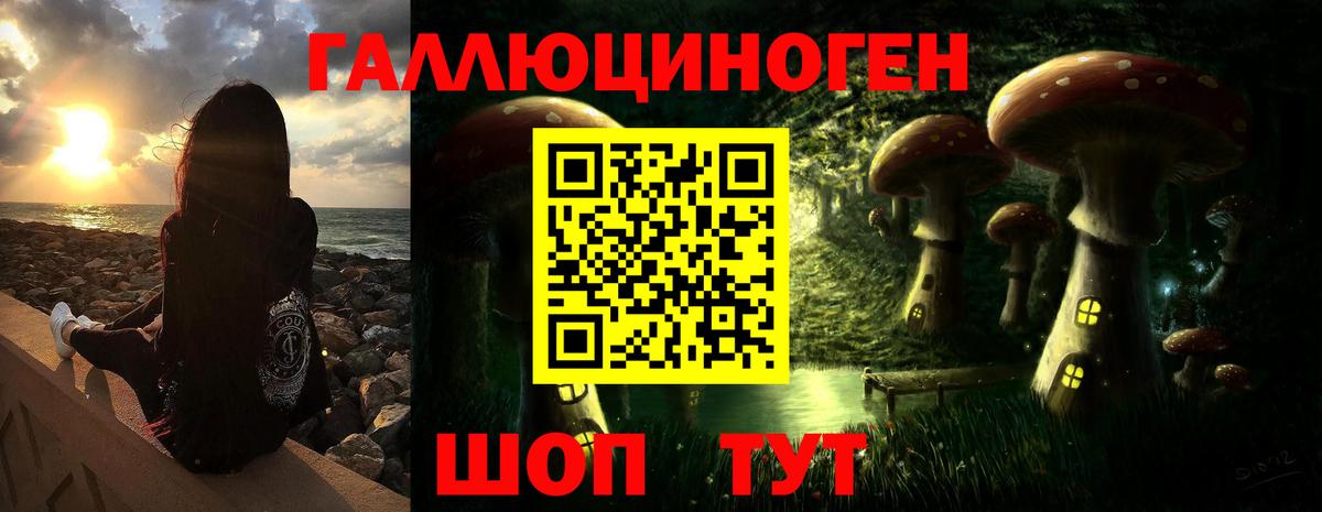 Горно-Алтайск  Галлюциногенные грибы мицелий  Вход с VPN 